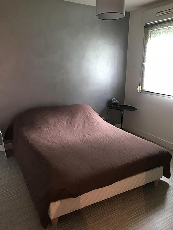 Bel Appartement Proche Tours Centre Bretonneau La Riche Екстер'єр фото